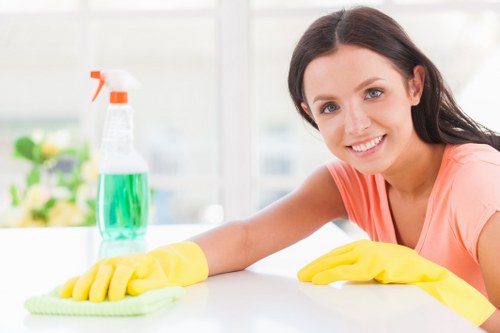 Professional domestic cleaning in a bright modern living room