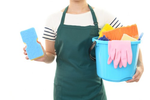 House cleaning essentials in a bright modern home