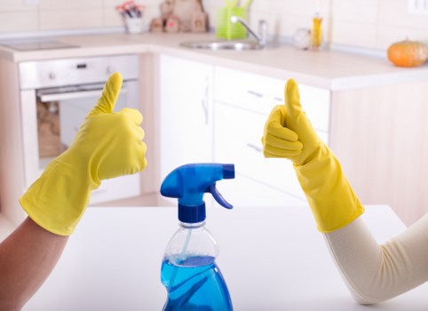 Detailed bathroom deep cleaning and sanitizing