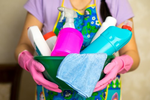 Routine cleaning supplies arranged for everyday maintenance