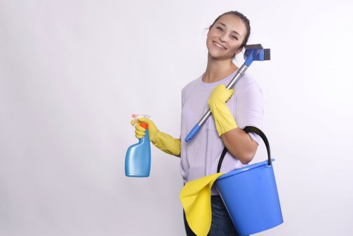 Spot cleaning a carpet stain with a cloth and cleaning solution