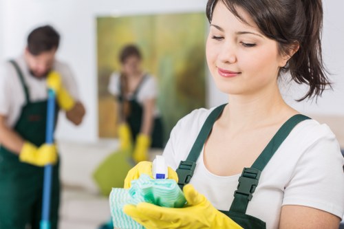 Residential window cleaning for a cleaner home