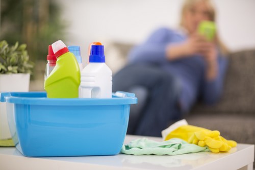 Eco-friendly domestic cleaning tools and products arranged neatly
