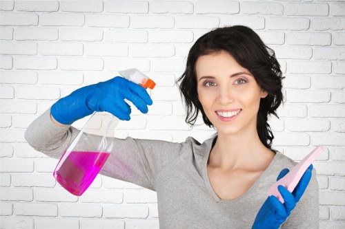 Professional cleaning of kitchen surfaces before move in