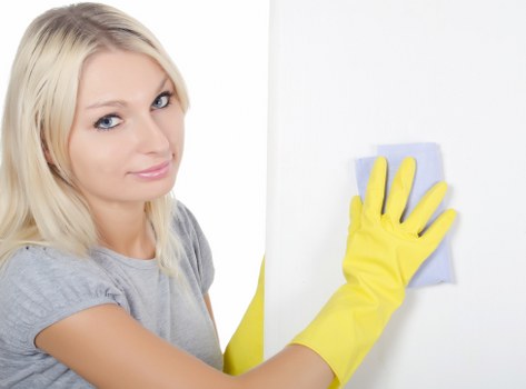 Natural oven cleaning supplies like baking soda and vinegar