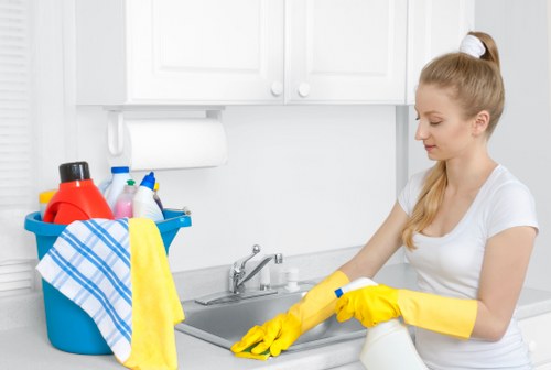 Regular cleaning of a modern home kitchen and surfaces