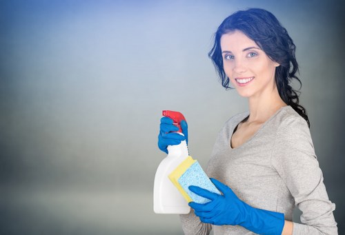 Routine house cleaning supplies arranged neatly